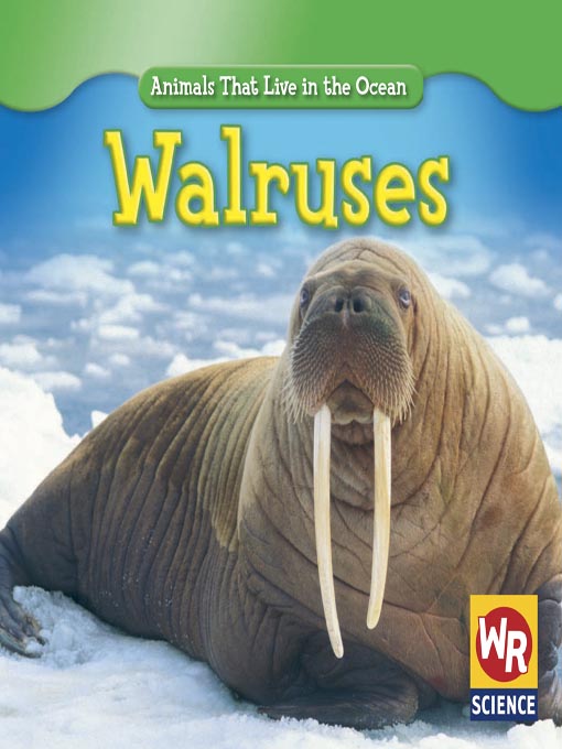 Cover image for Walruses